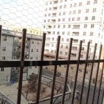 IMG_20250303_155451